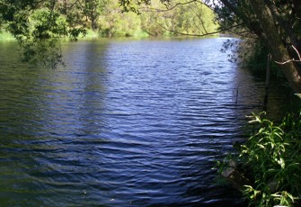 Upper Huts Upstream site photo