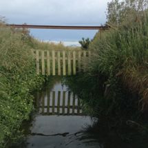 Parakanoi Drain