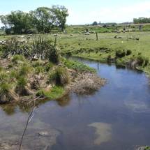 Orakipaoa