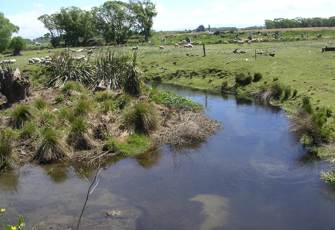 Orakipaoa Creek