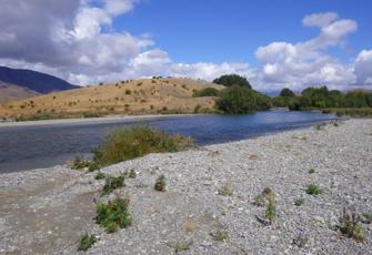 Ahuriri at Ben Omar