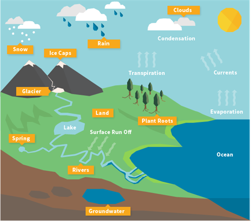 water cycle