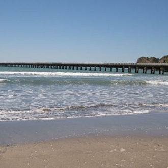 Gisborne region