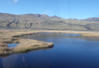 Back Maori Lake