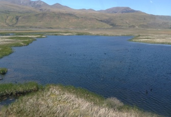 Back Maori Lake (1)