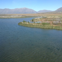 Maori Lake (Front / East) / Ōtūwharekai