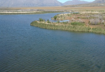 Front Maori Lake