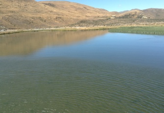Front Maori Lake (1)