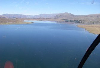Lake Heron