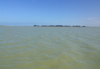 Taumutu boat