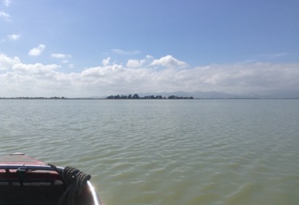 Selwyn River