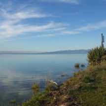 Te Waihora/Lake Ellesmere
