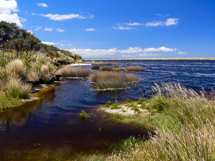 Waituna Lagoon