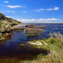 Waituna Lagoon