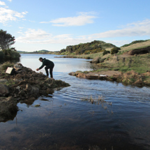 The Reservoir