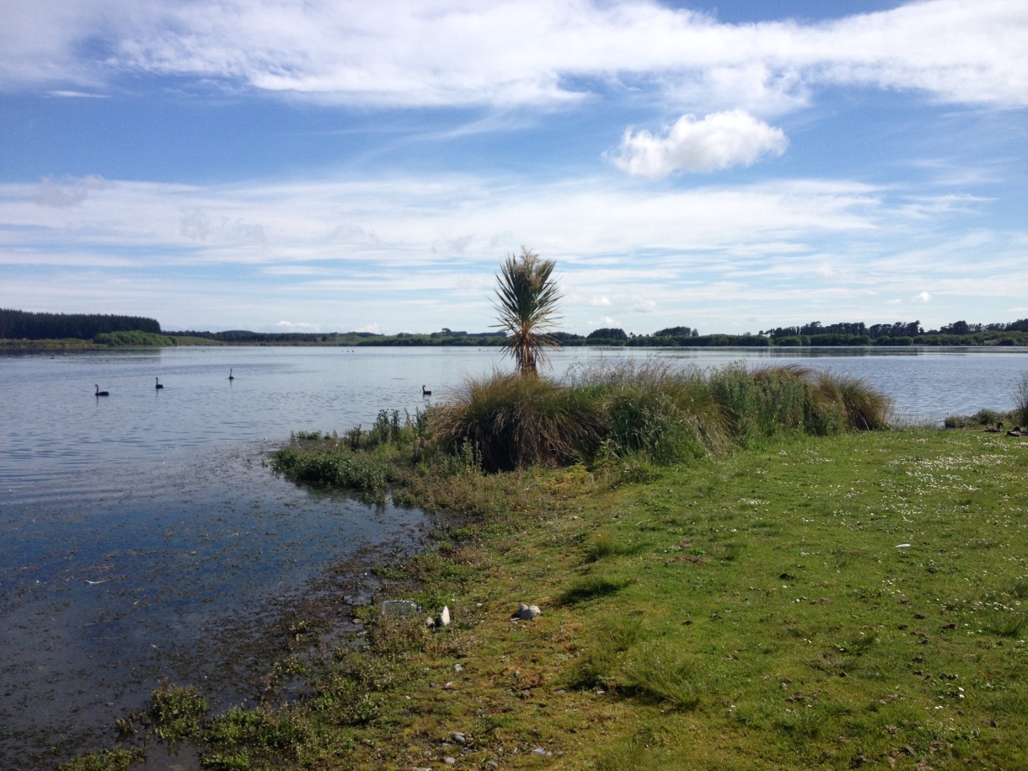 Lake Horowhenua
