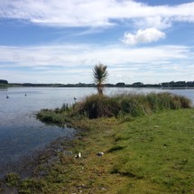 Lake Horowhenua