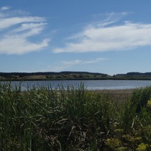 Pukepuke Lagoon