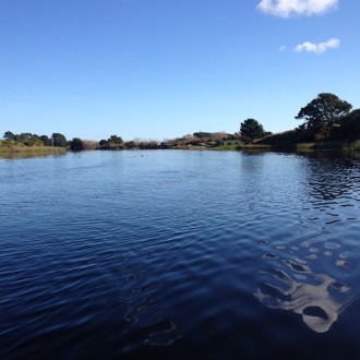 Manawatū-Whanganui region