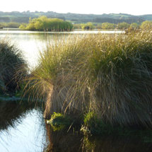 Lake Tuakitoto