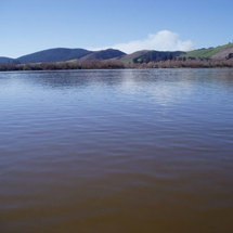 Lake Waihola