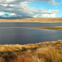 Lake Onslow