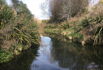 Maraetotara River at Waimarama Road 01