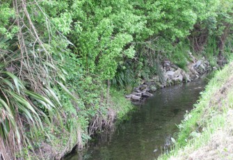 Herehere Stream