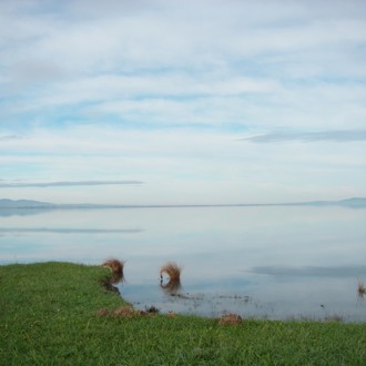 Wellington Region