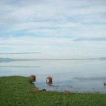 Lake Wairarapa