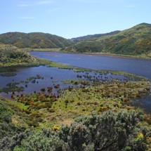 Lake Kohangatera