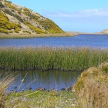 Lake Kohangapiripiri