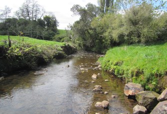 Kurapete DS Inglewood WWTP