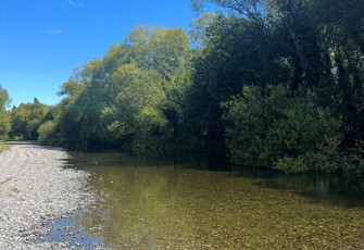 Chamberlains Ford NEW 0226