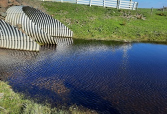 Waitamaki Creek at Air Base Road