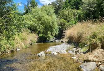 Teal at 1.6km