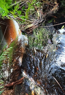 Awatōtara Creek at Waitangi Tuku Road
