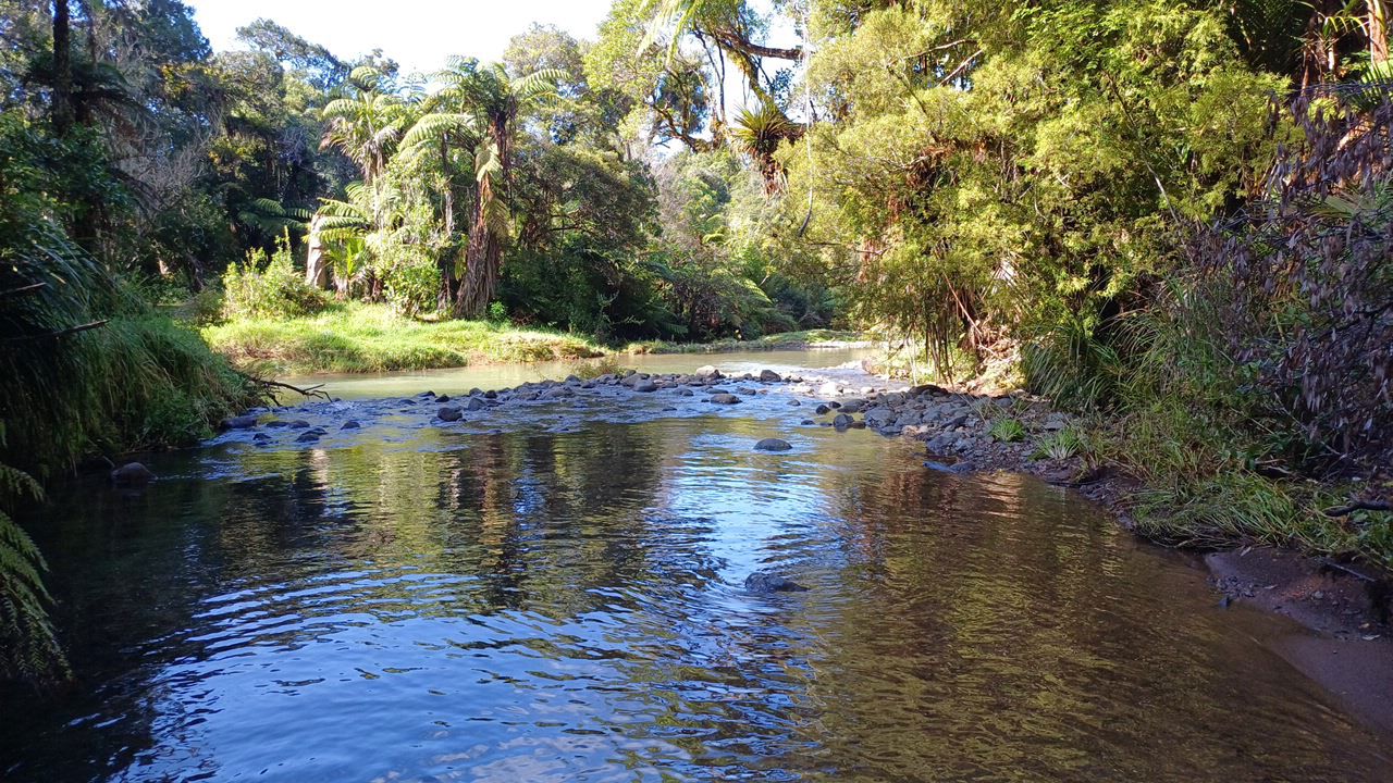 Mangamuka River