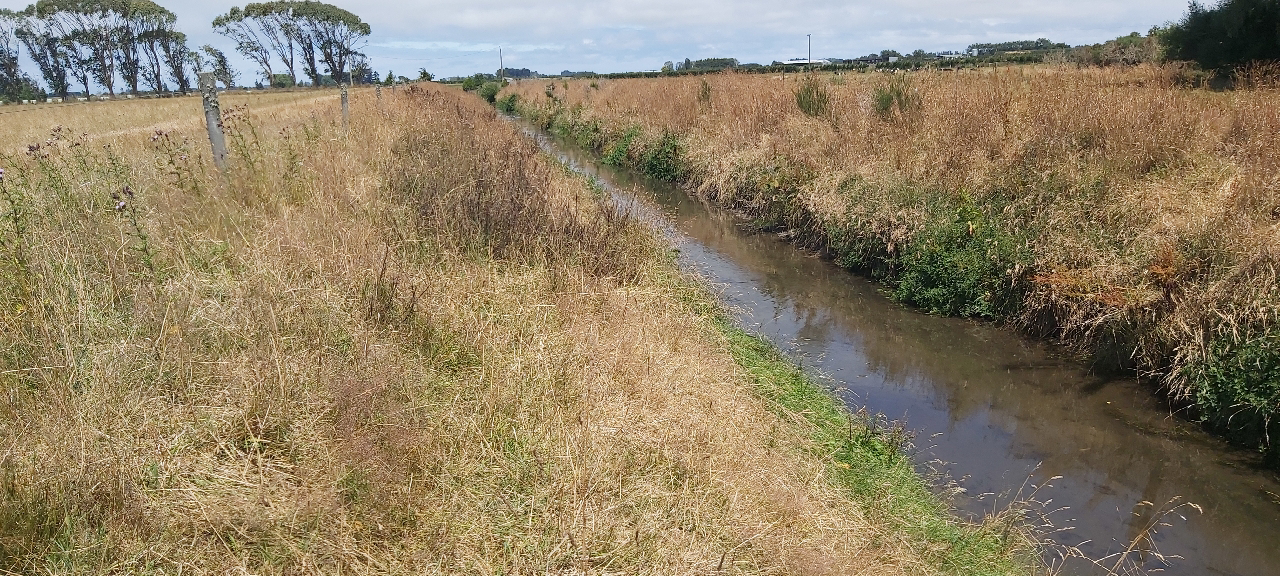 Waimatuku Stream