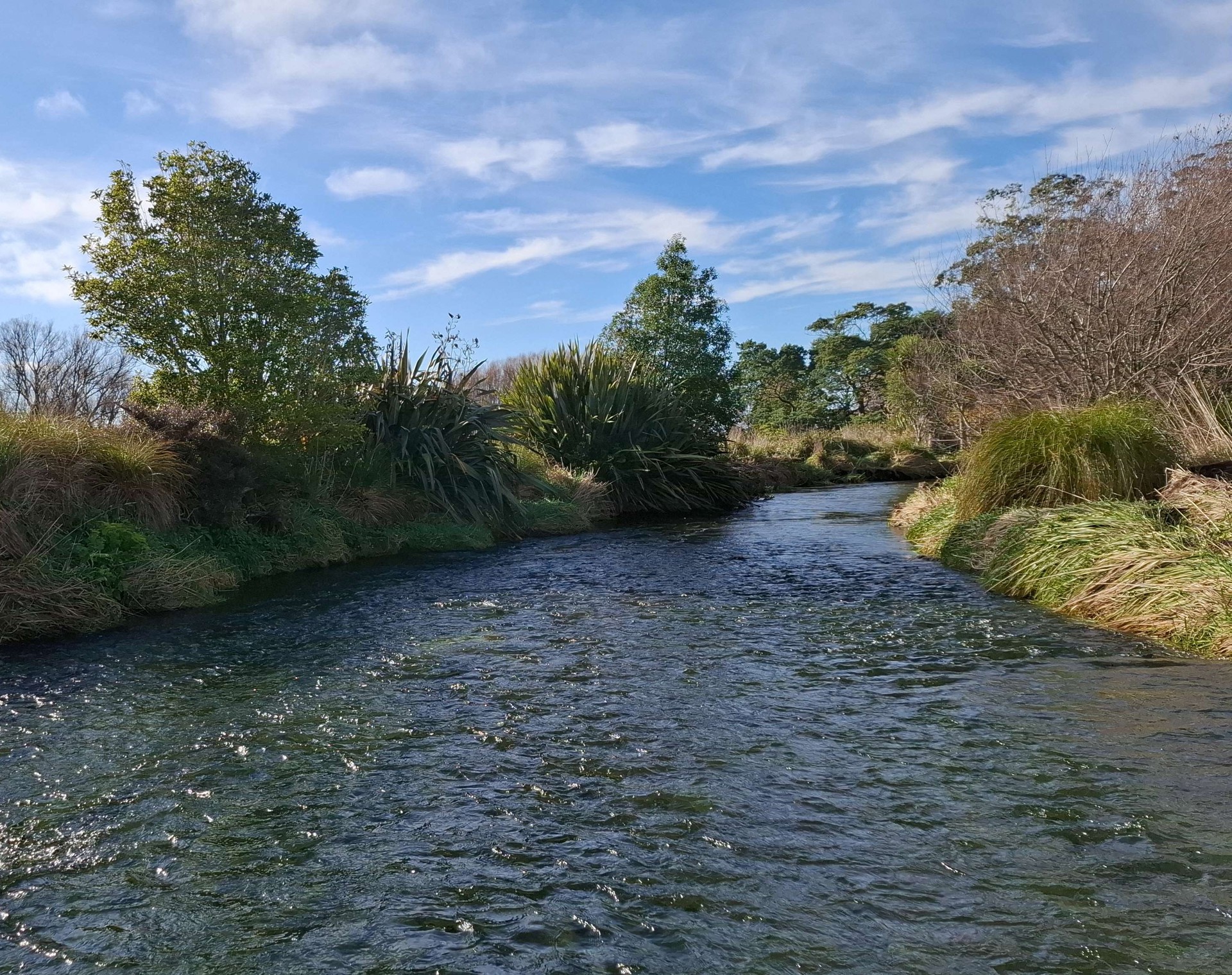 Te Waihora/Lake Ellesmere lower tributaries