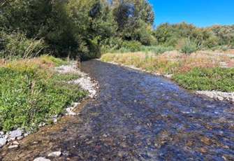 Waihi River at Winchester
