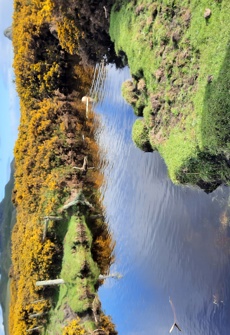 Washout Creek at Waitangi West Road