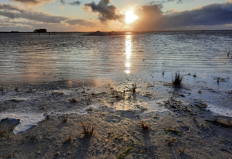 Lake Rangitai eastern shore