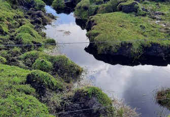 North Trib Rakautahi at Port Hutt Road upstream