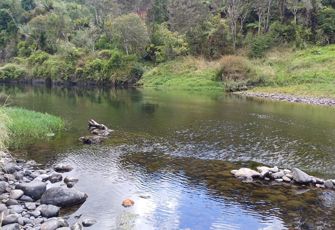 Mangakahia at Twin Bridges