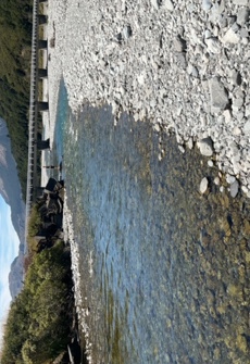 Waimakariri River SH73