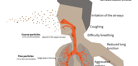 Health Effects Of PM Air Pollution Graphic (No Logo)