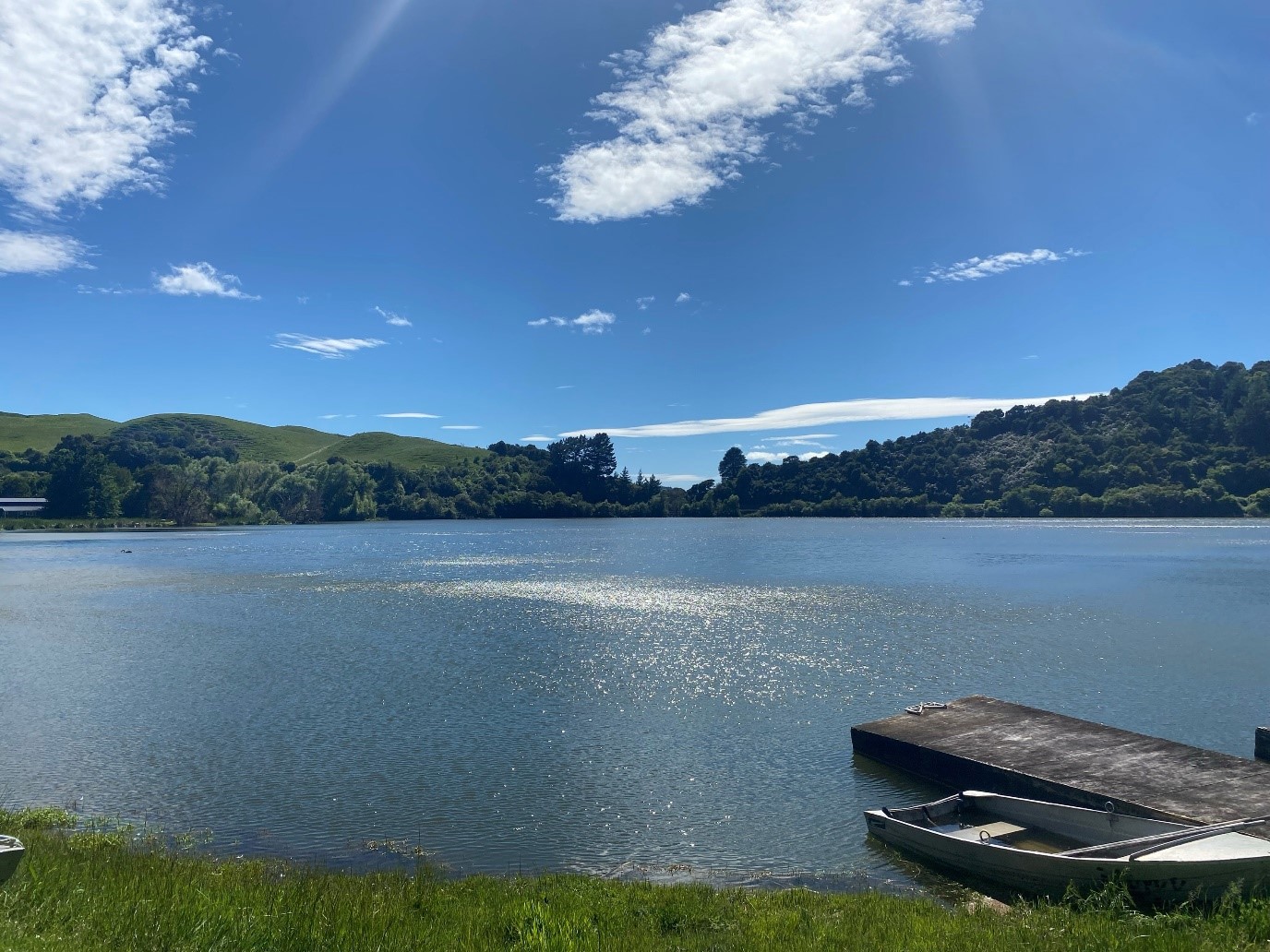 Lake Rotoroa
