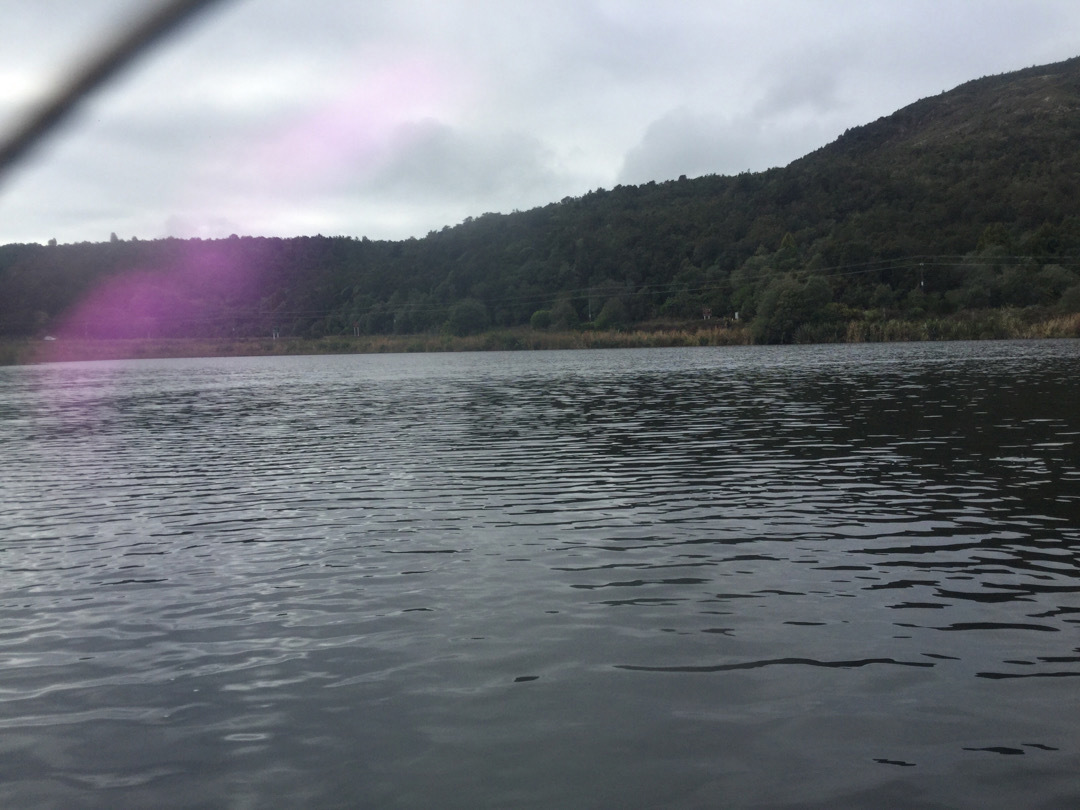 Lake Ngāhewa