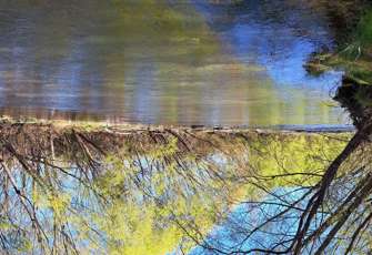 Opihi River at Rockwood